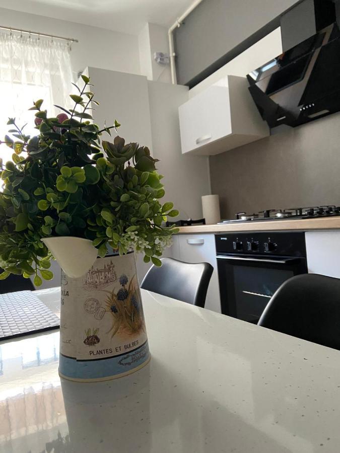 Qualis Apartament Braşov Eksteriør billede